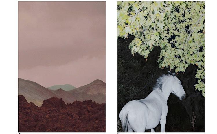 Les paysages réinventés de Létizia Le Fur à l’Ambassade de France