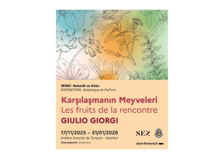 Illustration botanique aux tons pastel pour l’exposition “Les fruits de la rencontre” de Giulio Giorgi à l’Institut français d’Istanbul.