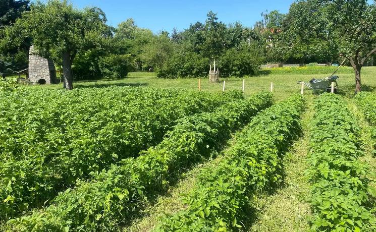 Jardin de la August-Heyn-Gartenarbeitsschule
