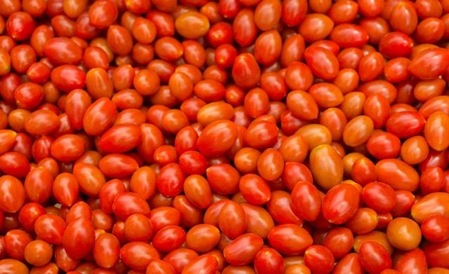 tomates cerises rouge