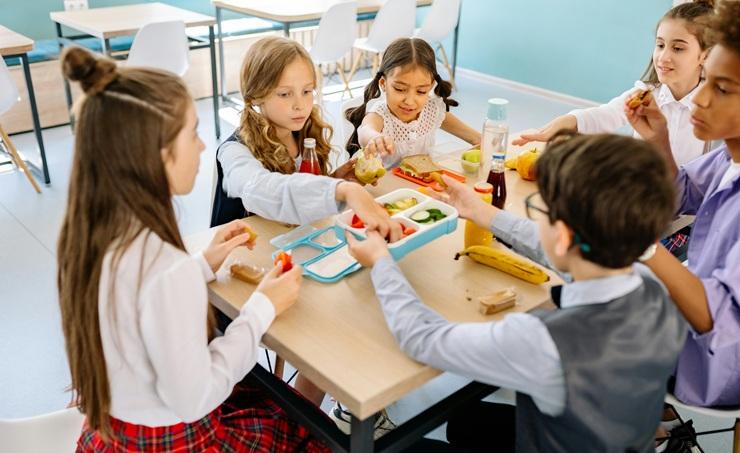 Zone de sécurité nutritionnelle scolaire: une révolution alimentaire dans les écoles?