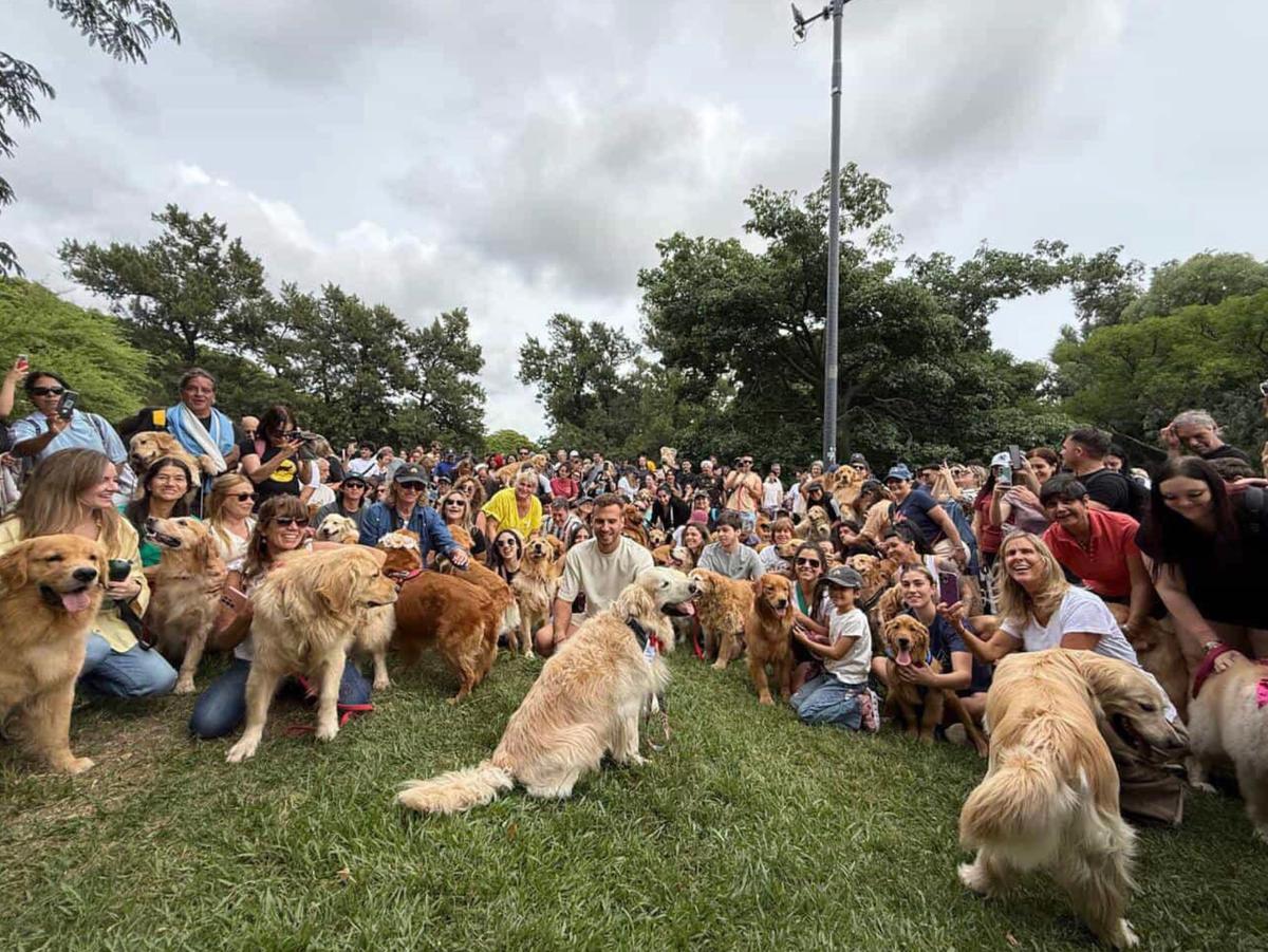 record de golden retriever à Buenos Aires 2025-12-08