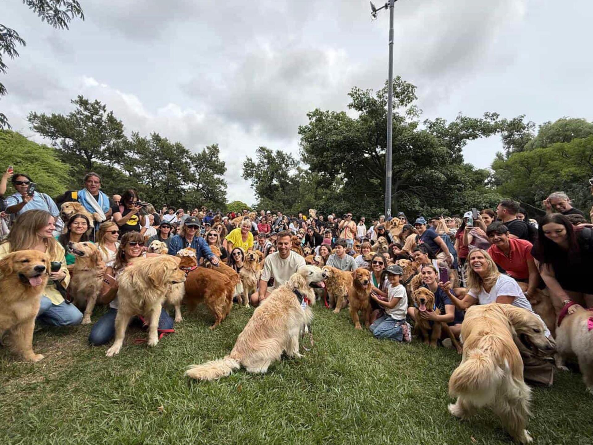 record de golden retriever à Buenos Aires 2025-12-08