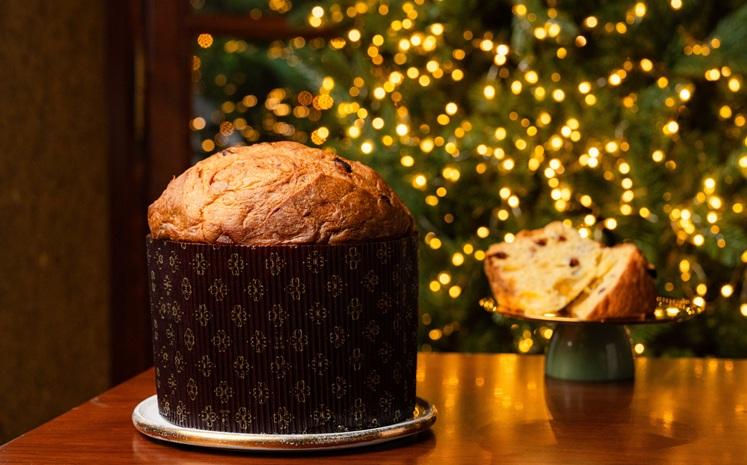 Panettone_portrait