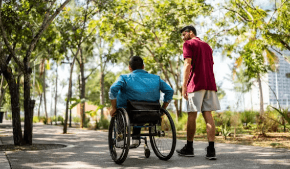image fauteuil roulant parc