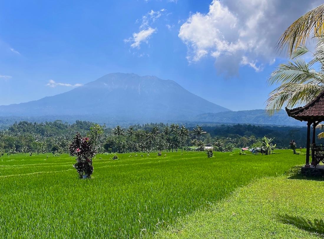 photo de bali avec rizières au premier plan et le mont agung en arrière plan sous un ciel bleu