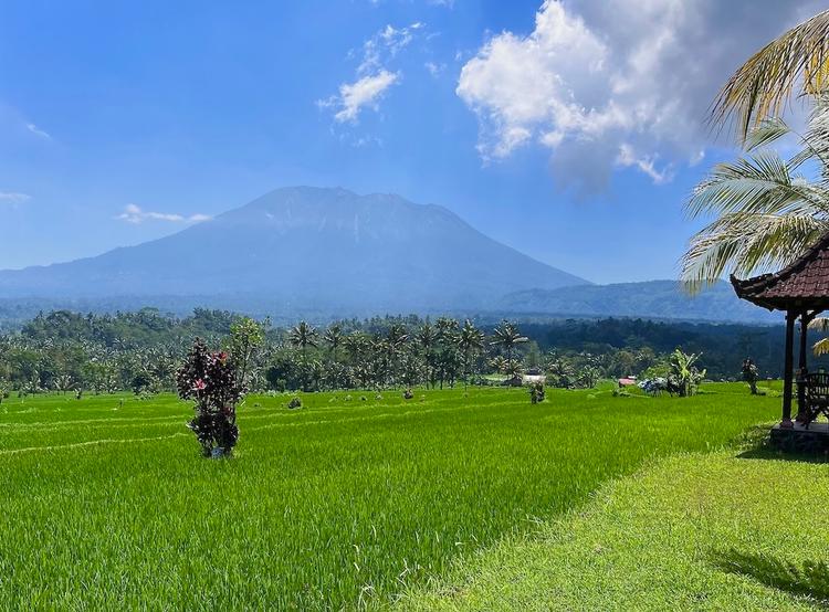photo de bali avec rizières au premier plan et le mont agung en arrière plan sous un ciel bleu