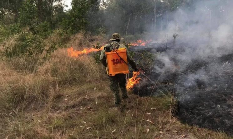 Alerte nationale au Cambodge après 839 feux de forêt en une semaine