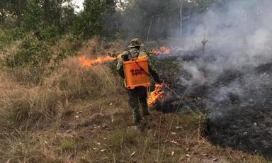Alerte nationale au Cambodge après 839 feux de forêt en une semaine