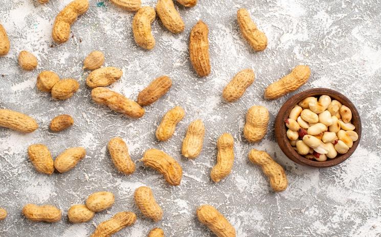 Collations à base de cacahuète : qualité, nutrition et conservation