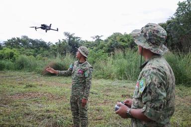 Environnement - le nombre d’infractions recule au Cambodge en 2025