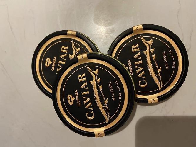 caviar