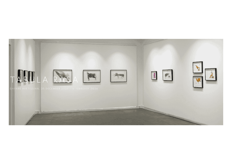 Œuvres de l’exposition collective Tabula Rasa présentées à Galeri 77 à Istanbul