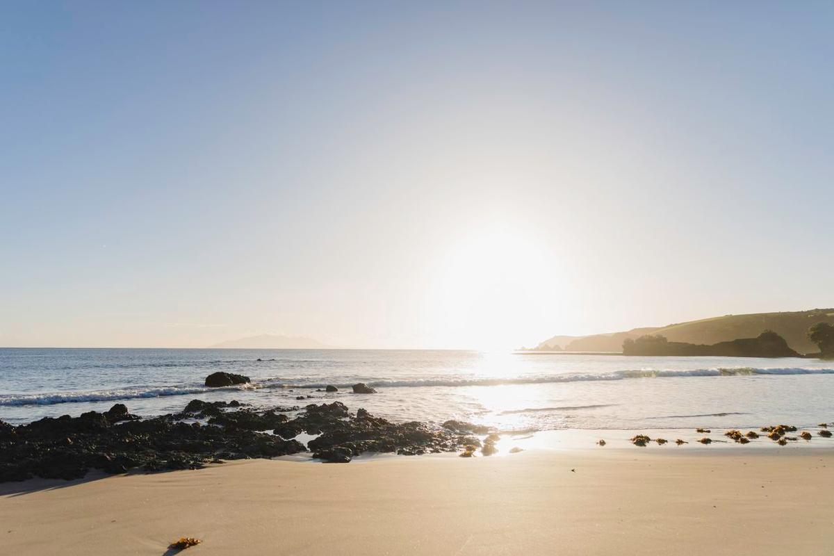 127907-landscape-of-an-auckland-beach-web-optimised-1280px-jpg-or-png-or-webp