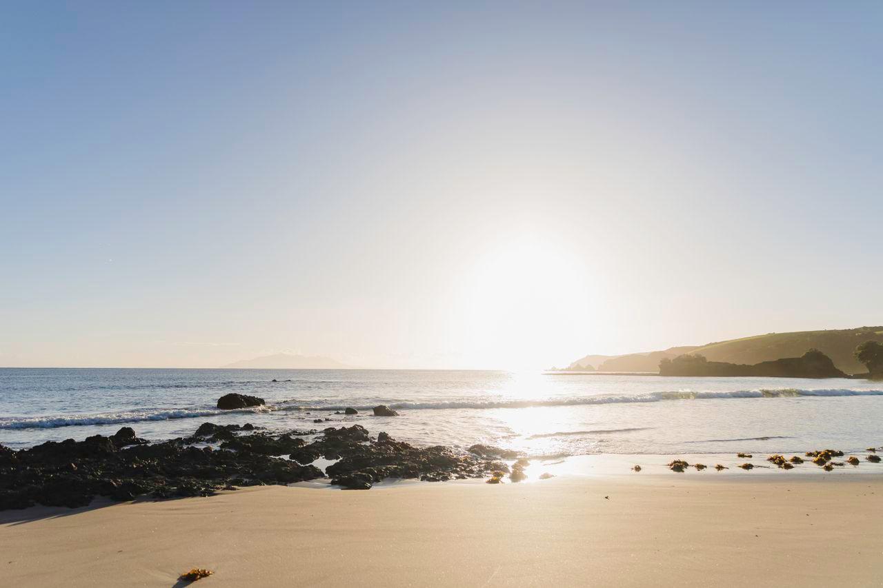 127907-landscape-of-an-auckland-beach-web-optimised-1280px-jpg-or-png-or-webp