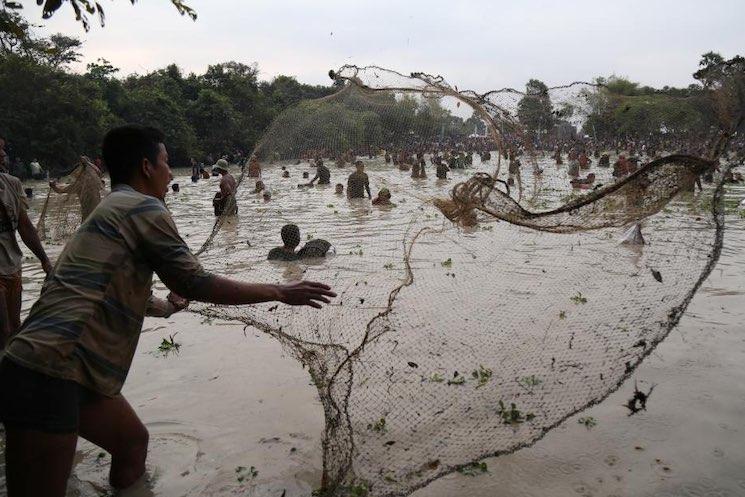 À Siem Reap, la pêche devient une fête collective 2