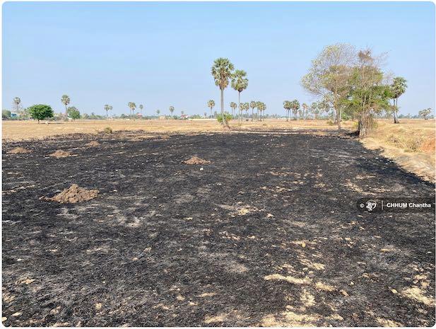La saison sèche relance le débat sur les brûlis au Cambodge