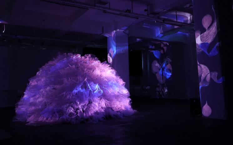 Photo de l'exposition de Felicia Bergström