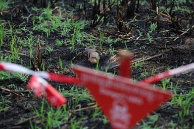 La Reine Mère fait don de 100 000 dollars pour déminer le Cambodge