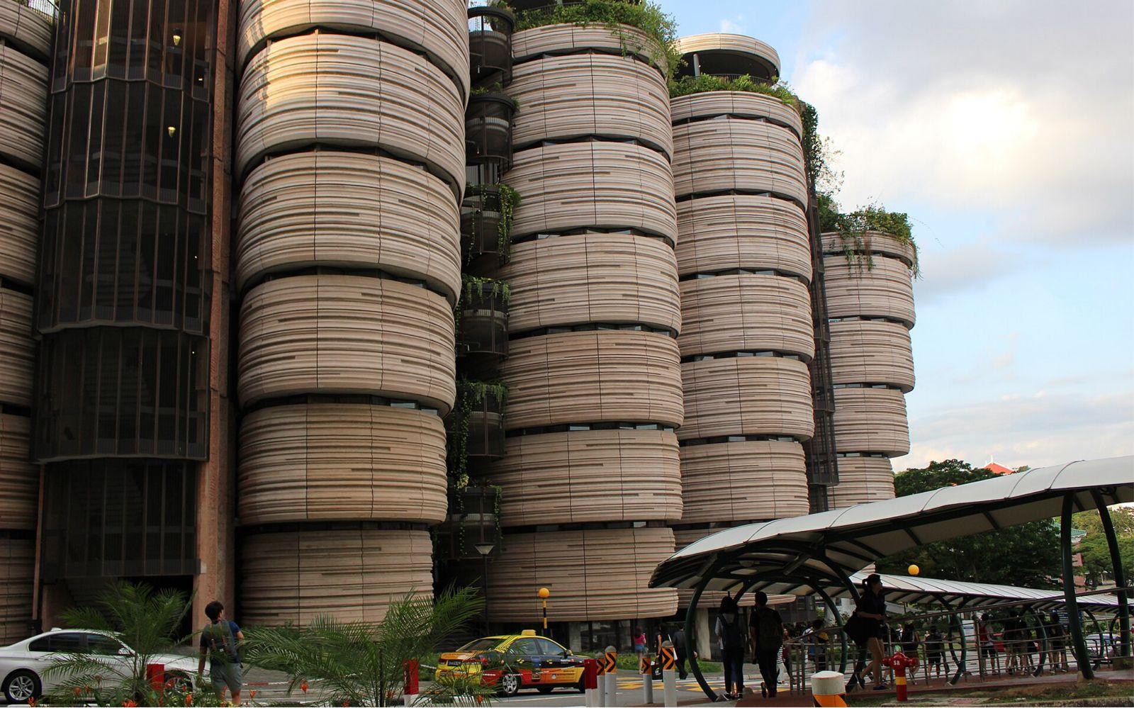 WhatsApp Image 2026-02-19 at 16.06.51