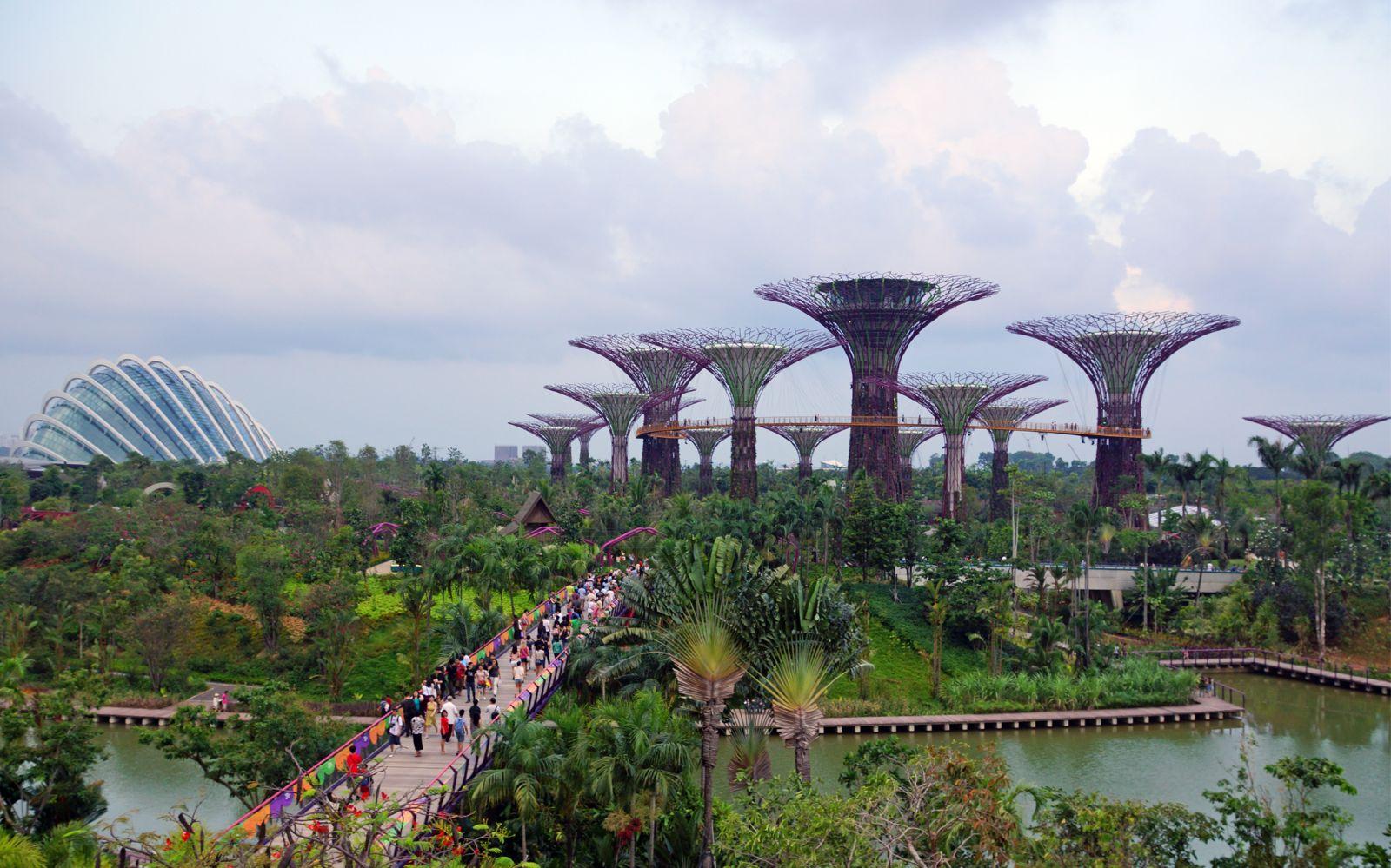 Dragonfly Bridge, Gardens by the Bay, Singapour
