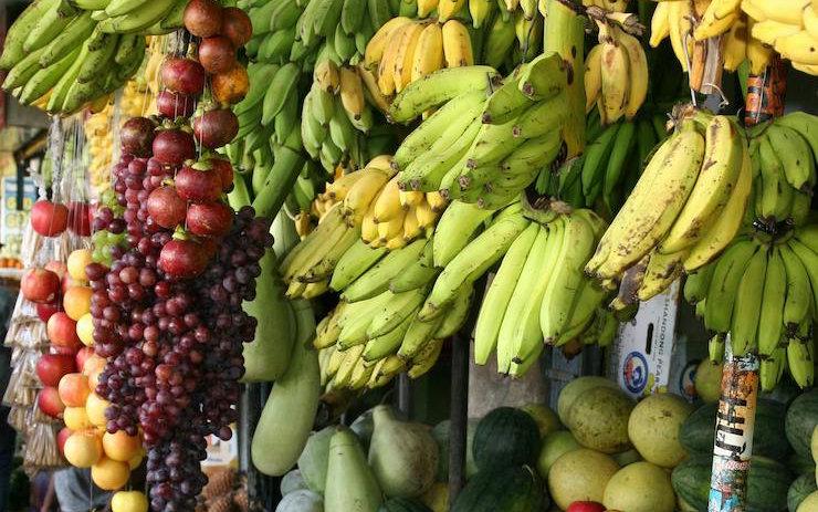 Exportations agro-forestières : Un levier de croissance pour le Vietnam