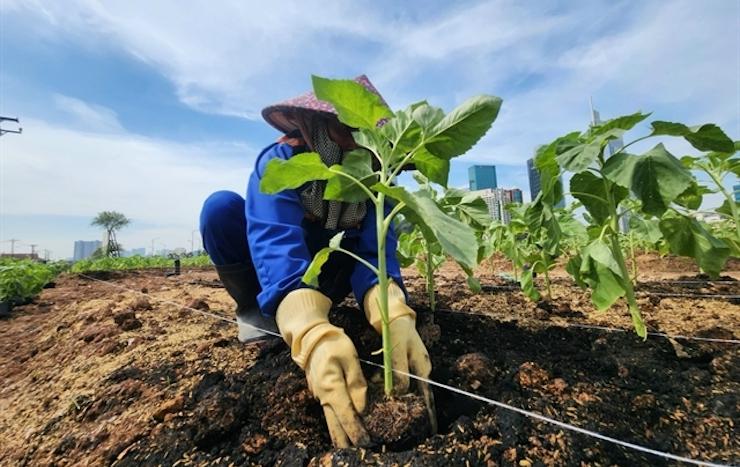 Labellisation FSC : Vers une gestion durable des forêts vietnamiennes