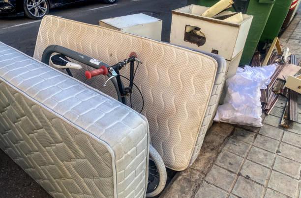 Punaises de lit : pourquoi les infestations explosent en milieu urbain