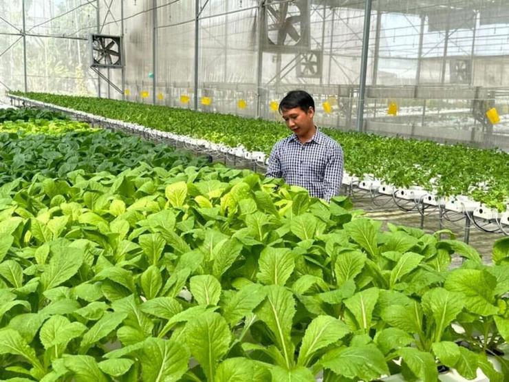 Le Vietnam assouplit les règles pour augmenter ses exportations agricoles