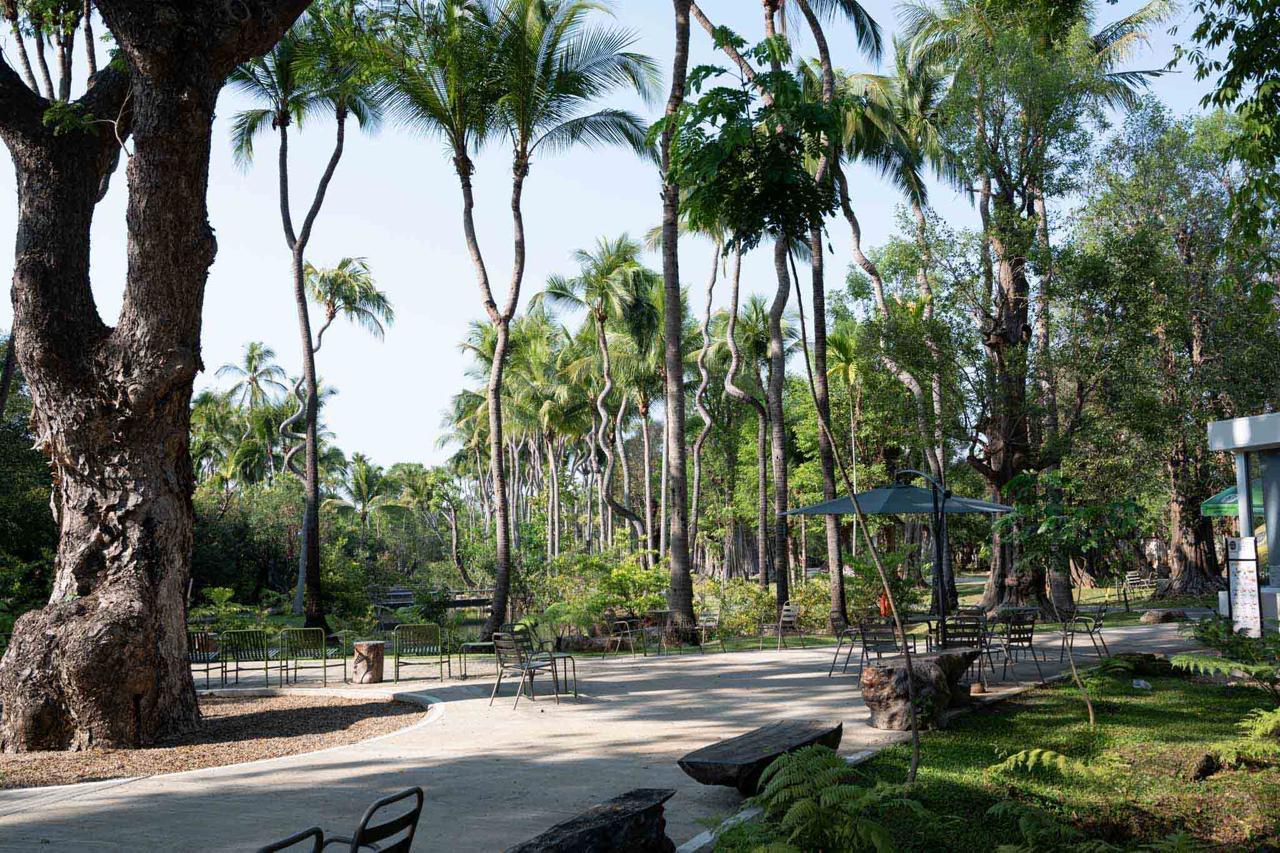 Parc Arbres Chiang Mai