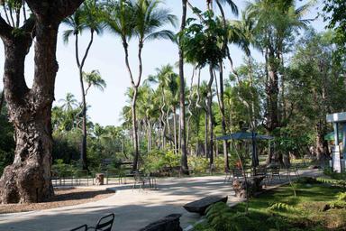 Parc Arbres Chiang Mai