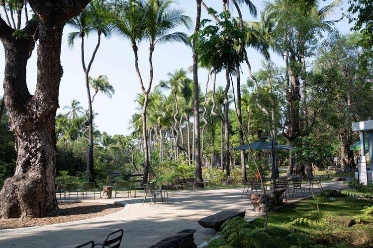 Parc Arbres Chiang Mai