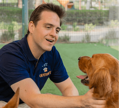 Screenshot 2026-03-30 at 18.50.34