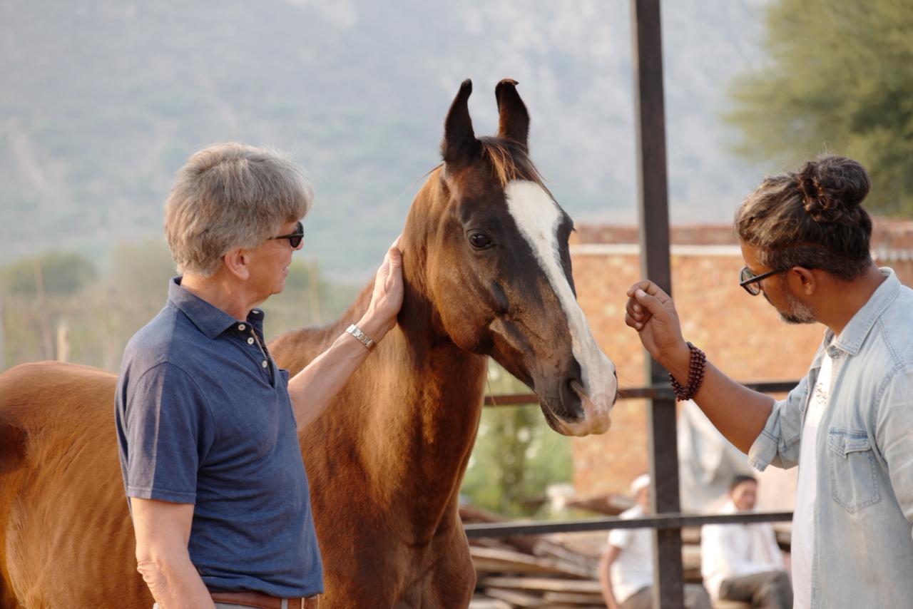 WhatsApp Image 2026-03-29 at 19.46.40