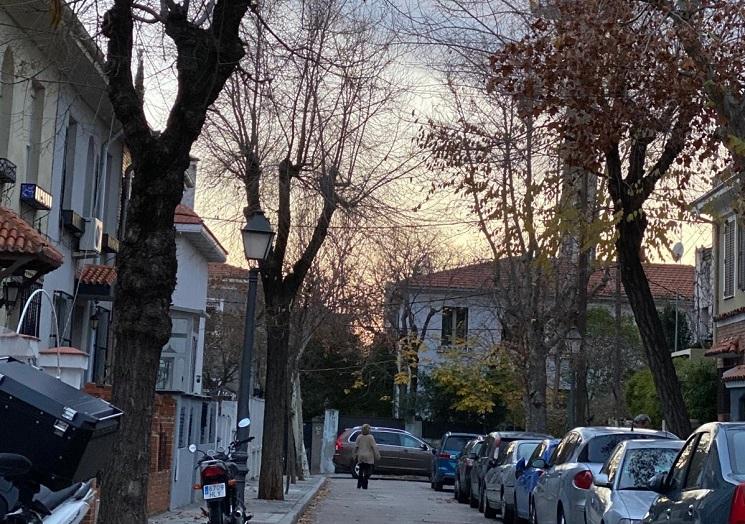 colonia fuente del berro madrid (colomba real estate)