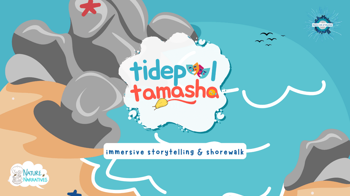 e8c9a679-6924-4939-b50b-7c1b3212ef3b