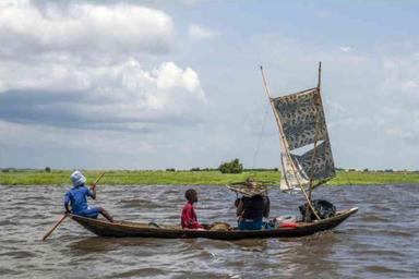 Naviguer les eaux: la route des mangroves