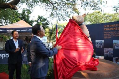 À Siem Reap, une statue rend hommage au rat démineur Magawa