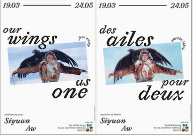 cover Oneness with wings