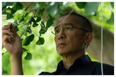 Photo Tony Leung