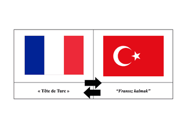 Proverbes français et turcs comparés : expressions et cultures en miroir