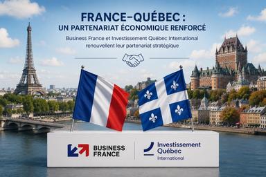 IQ et Bizz France