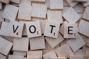Voter