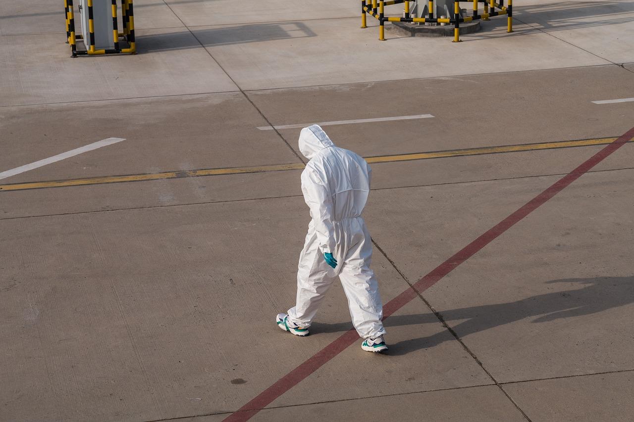 Hantavirus en Pologne