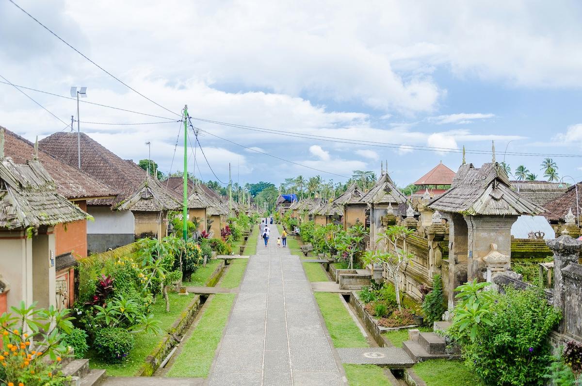 une rue bordée de verdure à bali