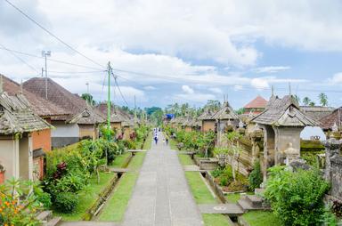 une rue bordée de verdure à bali