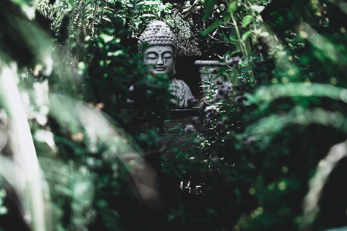 une statue de bouddha nichée dans la végétation avec des plantes au premier plan