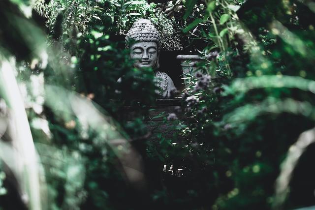 une statue de bouddha nichée dans la végétation avec des plantes au premier plan