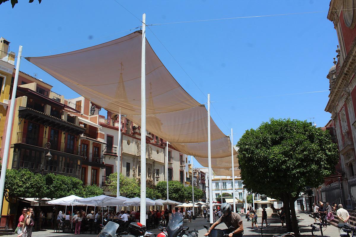 Sur la Plaza del Salvador, Sevilla