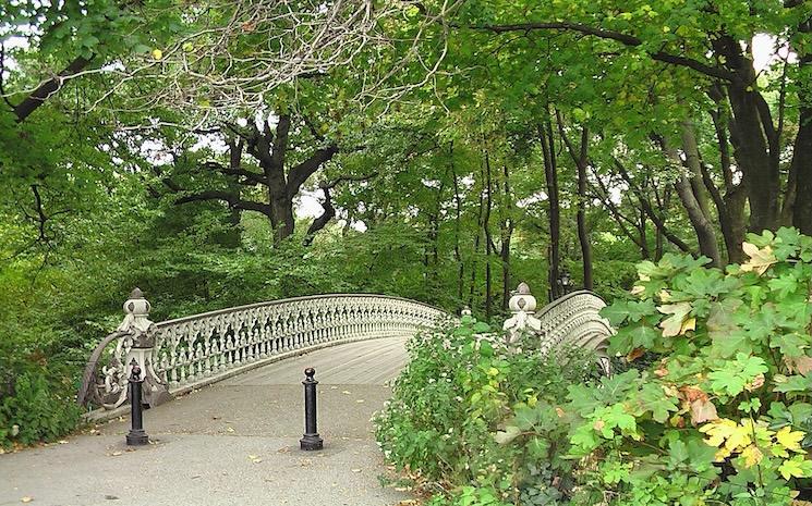 New York autrement : pourquoi une visite guidée à vélo change tout